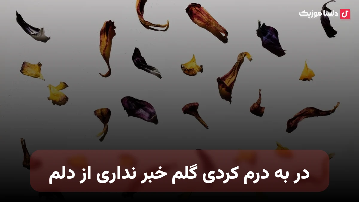 در به درم کردی گلم خبر نداری از دلم جدید